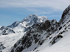 IMG_0059