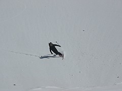 IMG_0034