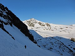 IMG_0446