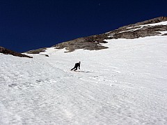 IMG_0049