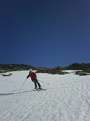 IMG00615-20110404-1128