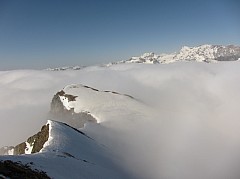 IMG_4336