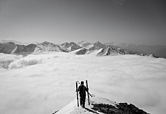 IMG_4360 - lightroom_nb