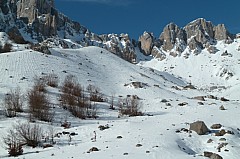 P1010378